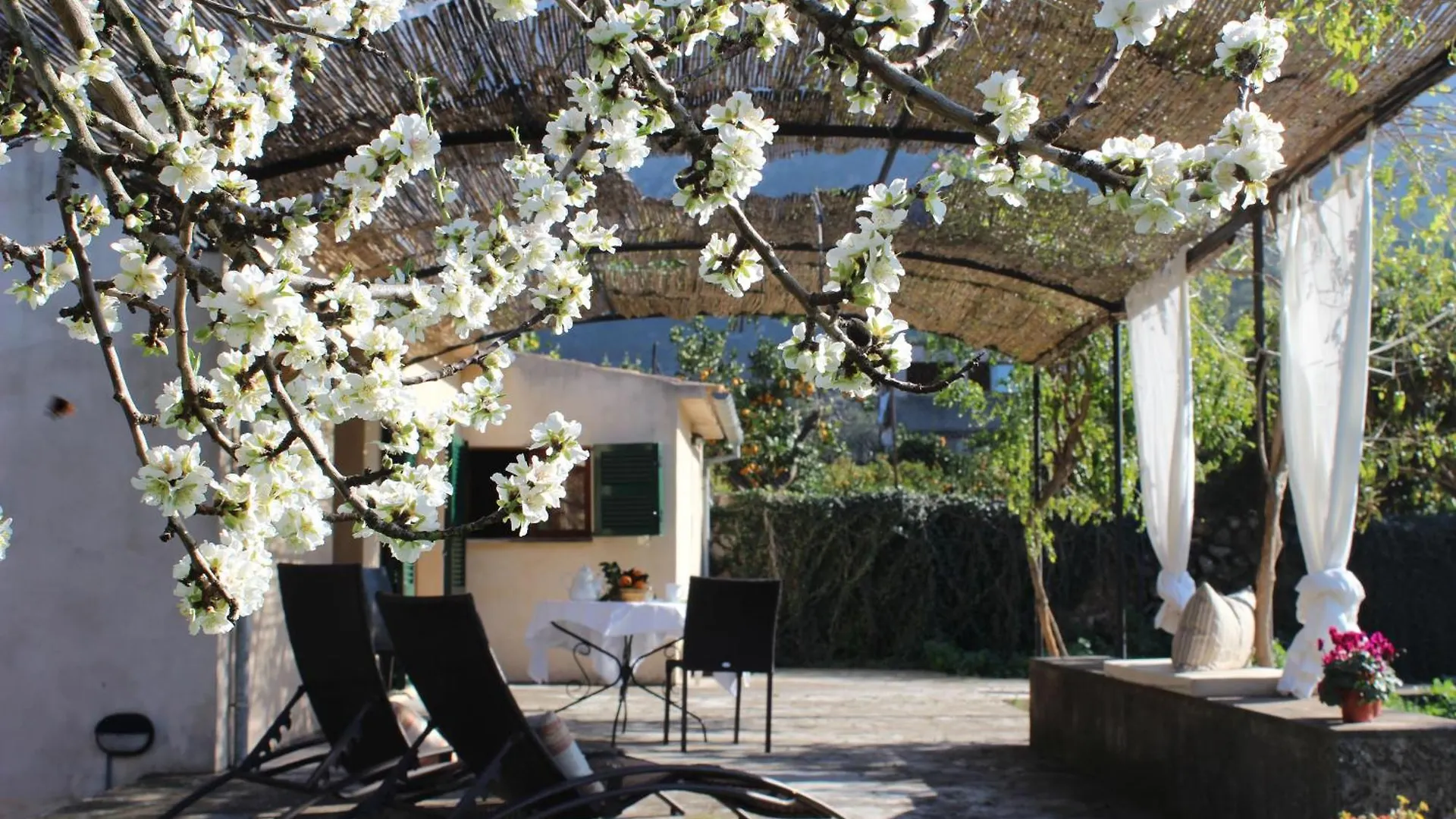 Soller Relax Ii, Cozy And Rural Apartment location